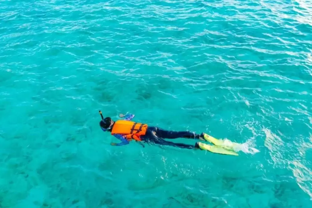 tips to enjoy a vacation